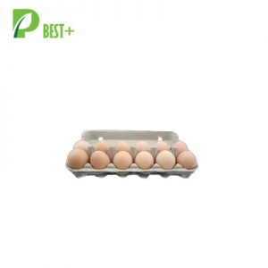 12 eggs pulp cartons Tray