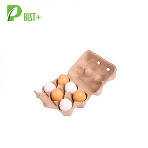 6 Eggs Pulp Cartons Box