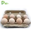 8 eggs pulp cartons Tray