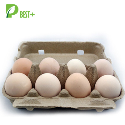 8 eggs pulp cartons Tray