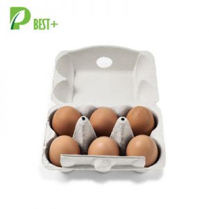 6 Cells Pulp Egg Boxes 224