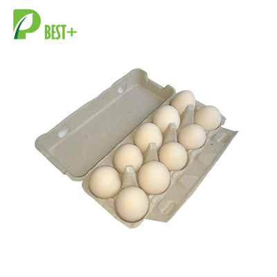10 Cells Pulp Egg Boxes 218