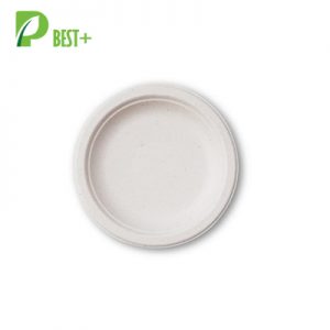 7 Inch Pulp Tableware 102