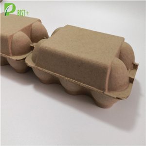 Low Price Egg Carton