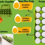 Wholesale Egg Cartons