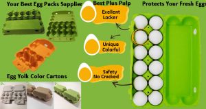 Wholesale Egg Cartons