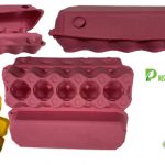 New Color Egg cartons Manufacturer