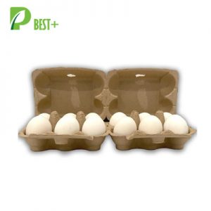 Split 6 Egg Cartons 276