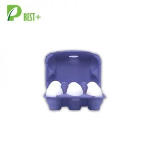 Purple Paper Egg Carton 278