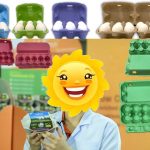 Egg Carton Factory for Egg Producer