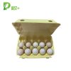 15 Cells Egg Trays Factory
