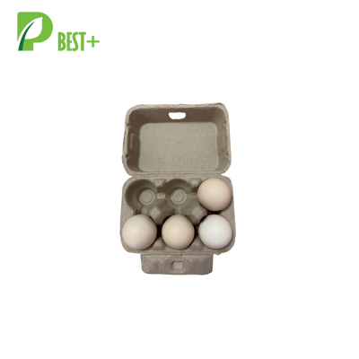Brown Egg Carton 306