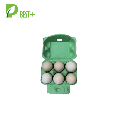 Green Egg Carton 304