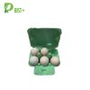 Green Egg Carton Factory 304