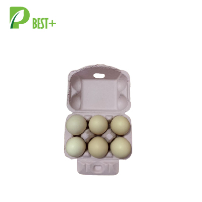Best Pulp Egg Carton 309
