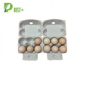 Grey 2x6 Egg Carton 319
