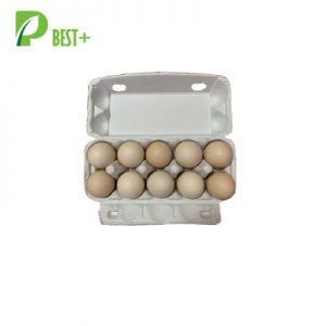 Grey Pulp Egg Tray 318