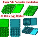 Approval FDA 30 Cells Egg Cartons Manufacturer US China Europe