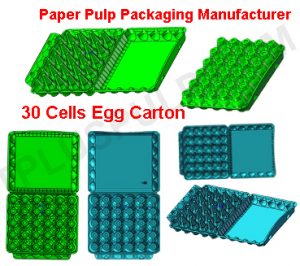 Approval FDA 30 Cells Egg Cartons Manufacturer US China Europe