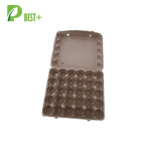 Best Plus New Design 30 cells Egg Cartons