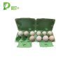 Green Fiber Egg Carton Factory