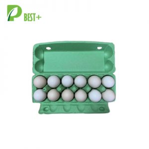 Green Pulp Egg Carton Factory 329