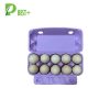 Purple 10 Cells Egg Carton 330