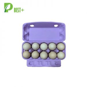 Purple 10 Cells Egg Carton 330