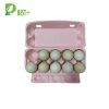 Pink 10 Cells Egg Carton 332