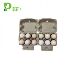 2x6 Cells Egg Carton