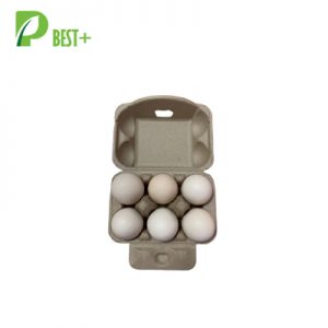 Cheapest Price Egg Cartons