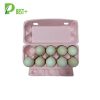 Pink 10 Packs Egg Carton