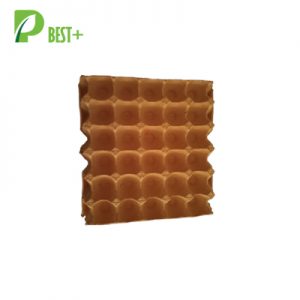 30 Cell Egg Tray Factory