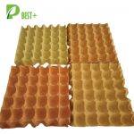 30 Cells Egg Tray Good Price