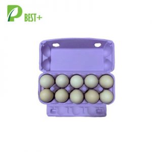 Purple Egg Carton Factory 367