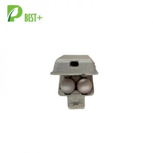 4 Packs Egg Carton 380