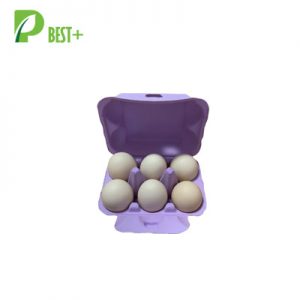 Purple Pulp Egg Box 384
