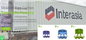 Who is Best Plus Moulded Fibre Egg Packaging Best Plus Pulp World