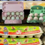 Molded Pulp Egg Carton Molded Custom Pulp Tray Factory