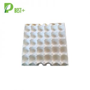 egg tray factory White 30 Cells Pulp egg tray