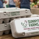 How to Customize Your Brand Logo on Pulp Egg Cartons
