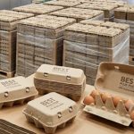 Biodegradable Paper Egg Carton Factory