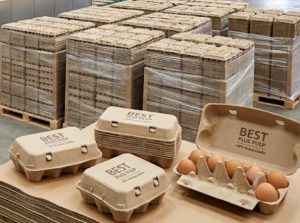 Biodegradable Paper Egg Carton Factory