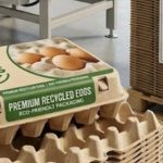 Eco Paper Egg Carton Factory