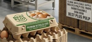 Eco Paper Egg Carton Factory