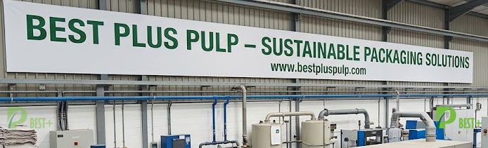 Leading Biodegradable Paper Egg Carton Factory