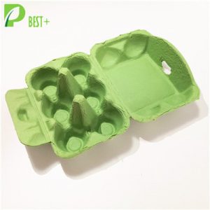 Color Paper Egg Carton Factory
