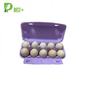 Purple 10 Cells Egg Carton 391