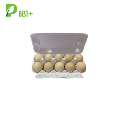 White Molded Egg Carton 392 White Molded Egg Carton Factory Direct Export Manufacturer 392